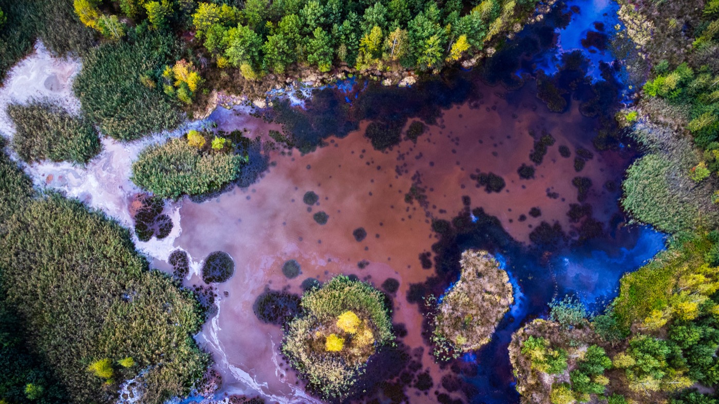 Vogelperspektive auf die Lausitz: eisenhaltiges Grubenwasser in Rottönen zwischen Kiefernwald und Birken